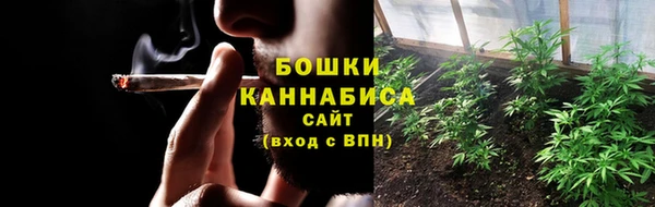 шишки Балабаново