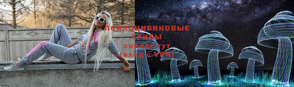 шишки Балабаново