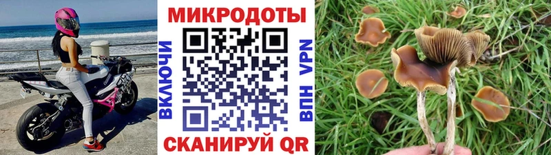 Псилоцибиновые грибы мухоморы  закладка  Североуральск 